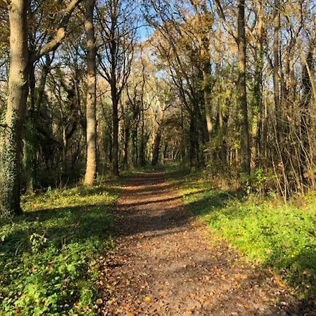 Luxe Woning 'barns' Aan Zee + Airco + Parkeren Nyaraló