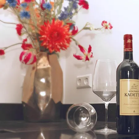 Luxe Woning 'barns' Aan Zee + Airco + Parkeren Nyaraló *